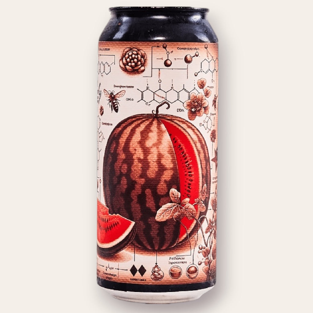 A 473ml Canof Beer from Ill Will - Melancholy | Pastry Sour - available from Grunting Growler Craft Beer)