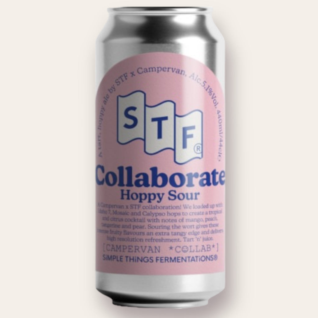 Buy Simple Things Fermentation - Hoppy Sour (Campervan collab) | Free Delivery