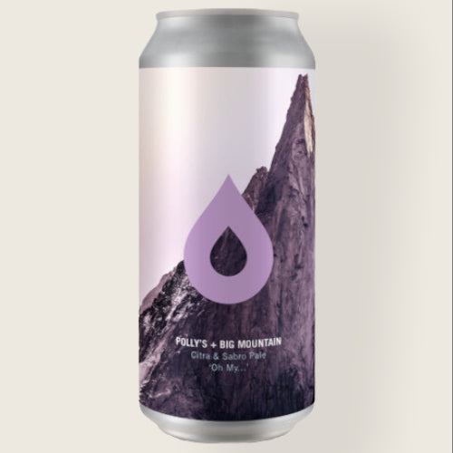 Buy Polly's Brew Co - Oh My... (Big Mountain Brewing Collab) | Free Delivery