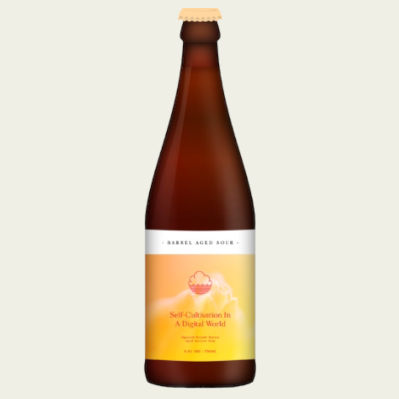 Buy Cloudwater - Self Cultivation In A Digital World | Free Delivery